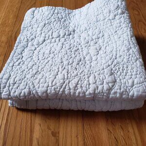 Pottery Barn Belgian Linen Flax Euro Shams